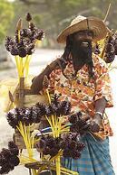 Thaulle Pure Ayurveda Resort - Yala