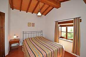 Civetta