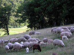 Agriturismo Orsaiola