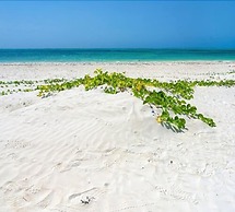 Hakuna Majiwe Beach Lodge