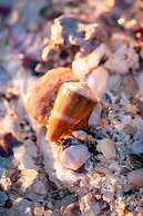 Hakuna Majiwe Beach Lodge