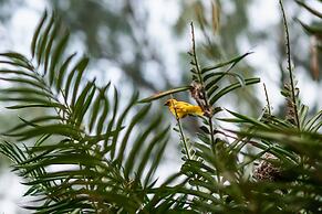 Hakuna Majiwe Beach Lodge