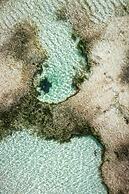 Hakuna Majiwe Beach Lodge