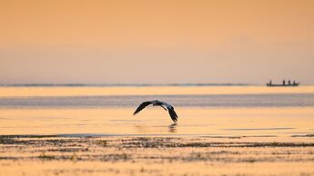 Hakuna Majiwe Beach Lodge