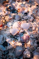 Hakuna Majiwe Beach Lodge