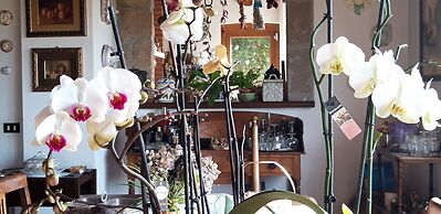 Il Casale Del Sogno