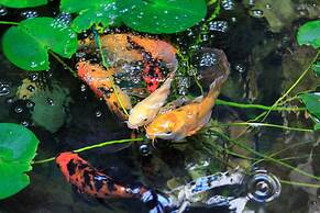 Hotel «ALARUS LUXE»