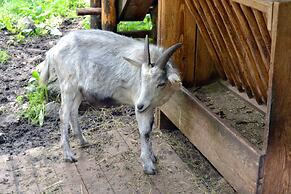 Chalets & Apartments Wachterhof