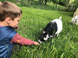 Chalets & Apartments Wachterhof