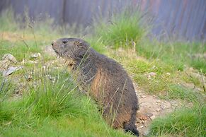Chalets & Apartments Wachterhof