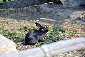 Chalets & Apartments Wachterhof