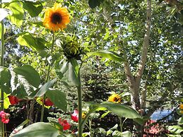 Historical Guest House