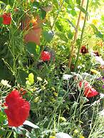 Historical Guest House