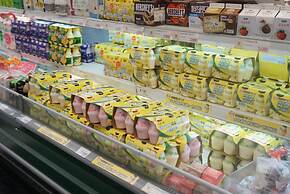 Residence Unicorn in Dongdaemun