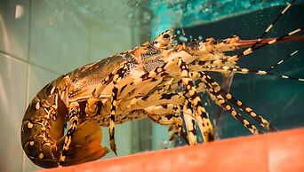 Almond Hotel Bassac River