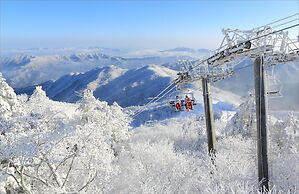 MUJU in GuestHouse - Hostel