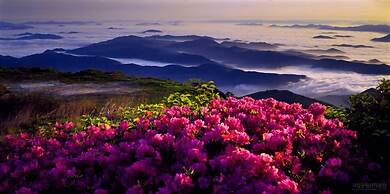 MUJU in GuestHouse - Hostel