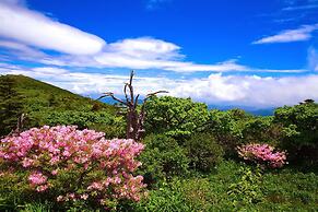 MUJU in GuestHouse - Hostel
