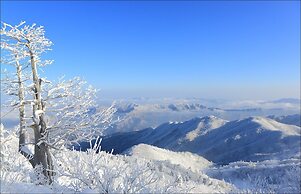 MUJU in GuestHouse - Hostel