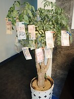 MUJU in GuestHouse - Hostel