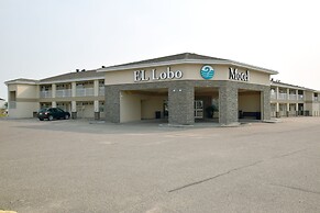 El Lobo Motel