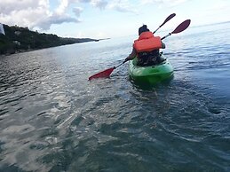 Seafari Resort Oslob