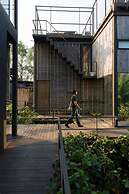 Bangkok Tree House
