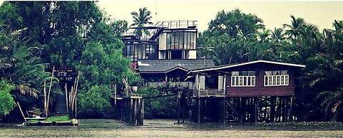 Bangkok Tree House