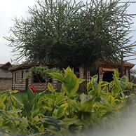 AA Lodge Amboseli