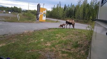 All Seasons Campground & Cabins