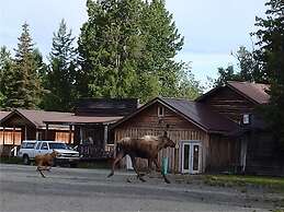 All Seasons Campground & Cabins