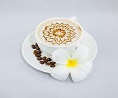 Vacation Boutique Hotel