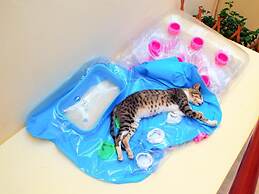 Argo Maisonettes & Suites