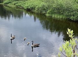 Auberge au Phil de l'Eau