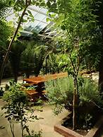 Don Pepe Hotel y Cabañas