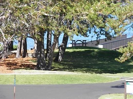 357 Ala-Wai Unit 209