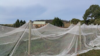 Charles Reuben Estate