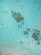 Canareef Resort Maldives