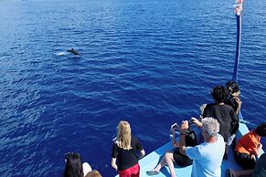 Canareef Resort Maldives