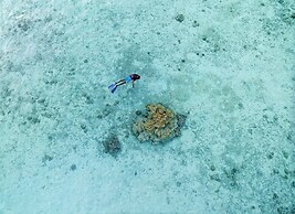 Canareef Resort Maldives