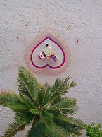 Canareef Resort Maldives