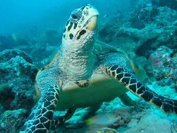 Canareef Resort Maldives