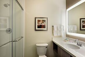 Holiday Inn St. George Conv Ctr by IHG