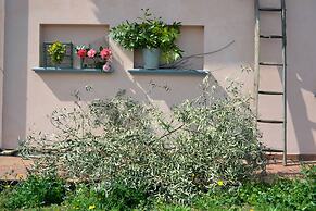 Agriturismo Monte a Pescia