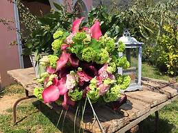 Agriturismo Monte a Pescia
