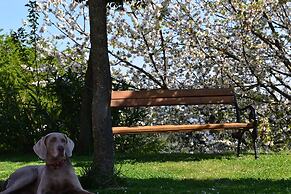 Agriturismo Monte a Pescia