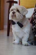 Paradiso Corporate - Cabo Frio