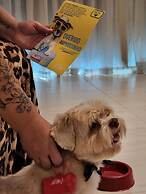 Paradiso Corporate - Cabo Frio