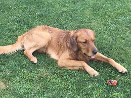 Echo Valley Cottages