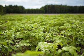 Hotel Aubrecht Country SPA Resort